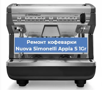 Чистка кофемашины Nuova Simonelli Appia S 1Gr от накипи в Москве